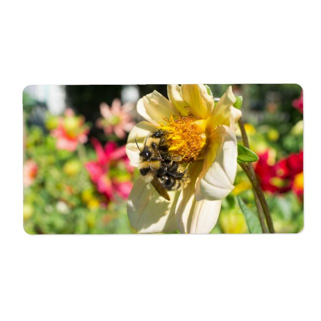 Etiqueta Abejas en una flor (Frente)