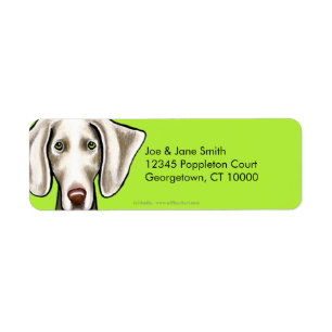 Etiqueta Aceituna del perro de Weimaraner