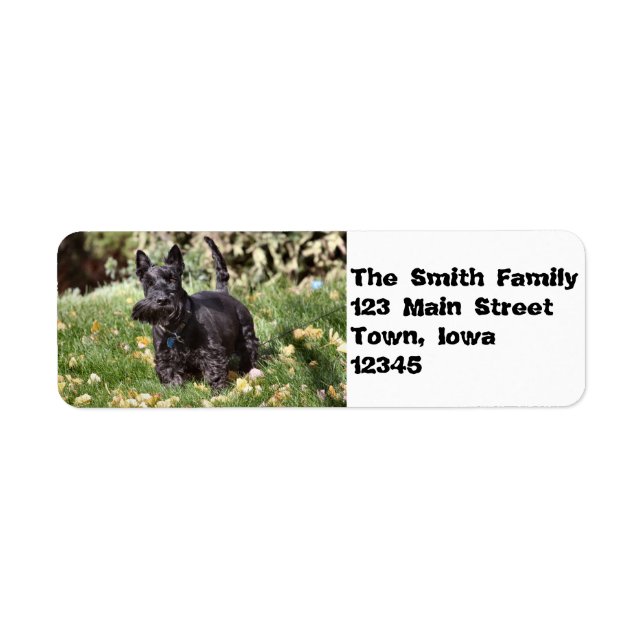 Etiqueta ¡Ach! (Frente)