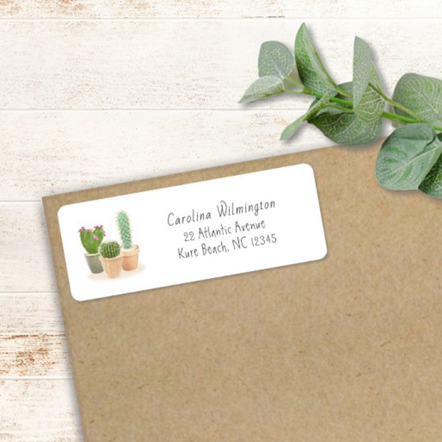 Etiqueta Acuarela Cactus Flower Pots Sucultores Florales (Subido por el creador)