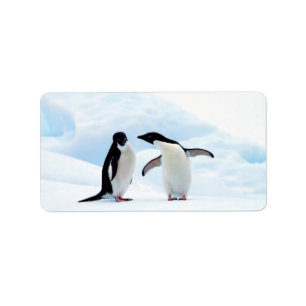 Etiqueta Adelie Penguins