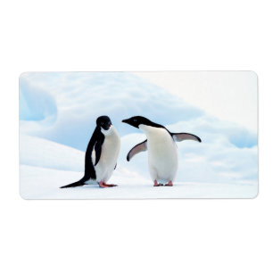 Etiqueta Adelie Penguins
