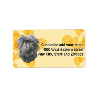 Etiqueta Affenpinscher sobre hojas de oro