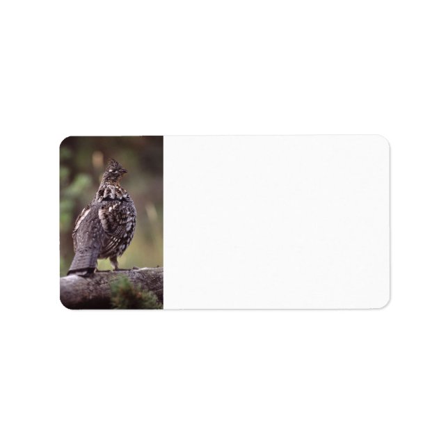 Etiqueta agachar (Frente)