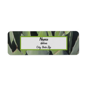 Etiqueta Agave verde deja foto botánica al suroeste