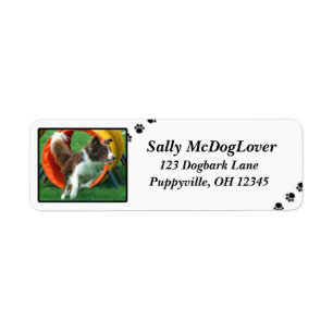 Etiqueta Agilidad del border collie de Brown