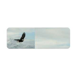 Etiqueta Águila calva y montañas