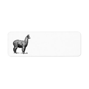 Etiqueta Alpaca