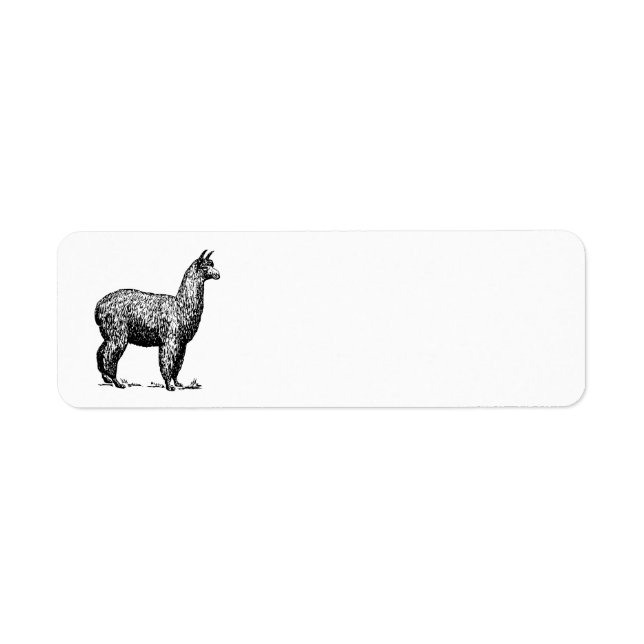 Etiqueta Alpaca (Frente)