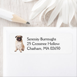 Etiqueta Amante de perros pug lindos