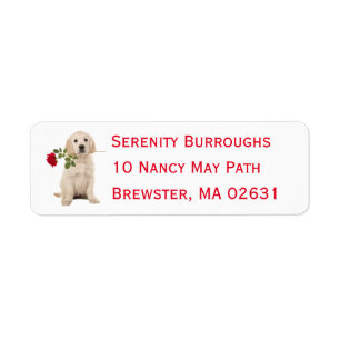 Etiqueta Amantes de los perros adoradores de oro de los cac