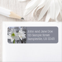 Amaryllis blanca y nieve I