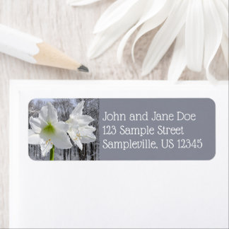 Etiqueta Amaryllis blanca y nieve I