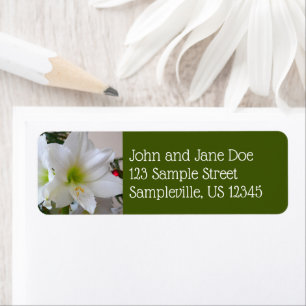 Etiqueta Amaryllis blanco y árbol de Navidad