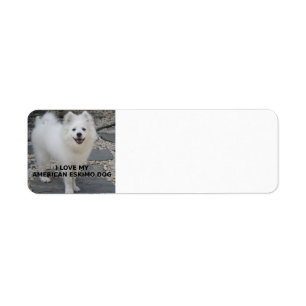 Etiqueta American_Eskimo_Dog_love con foto