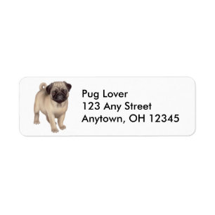 Etiqueta amistosa de perro de pug