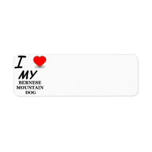 Etiqueta amor de bernese mt dog