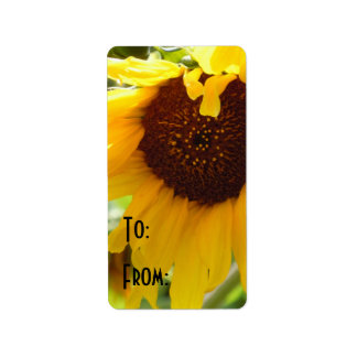 Etiqueta Amor del girasol