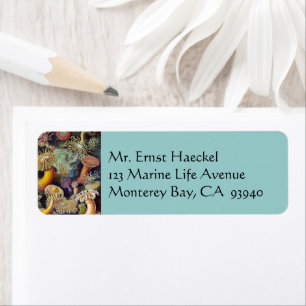 Etiqueta Anémonas marinas vintage de Ernst Haeckel