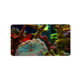 Etiqueta anenome imagen de agua salada acuario