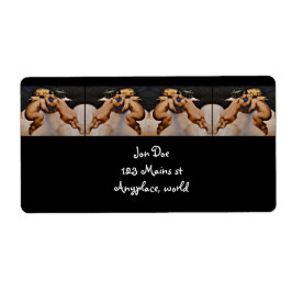 Etiqueta Angels de besos