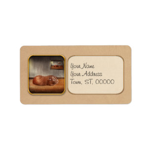 Etiqueta Animal - el conejillo de Indias