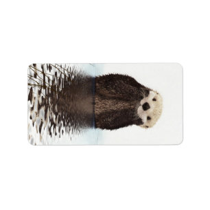 Etiqueta Animales adorables y esponjosos