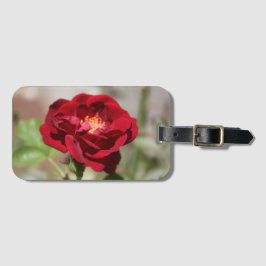 Etiqueta anticuada para el equipaje rosa rojo