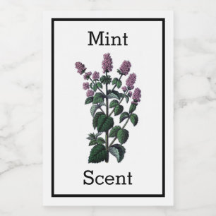 Etiqueta antigua de fábrica