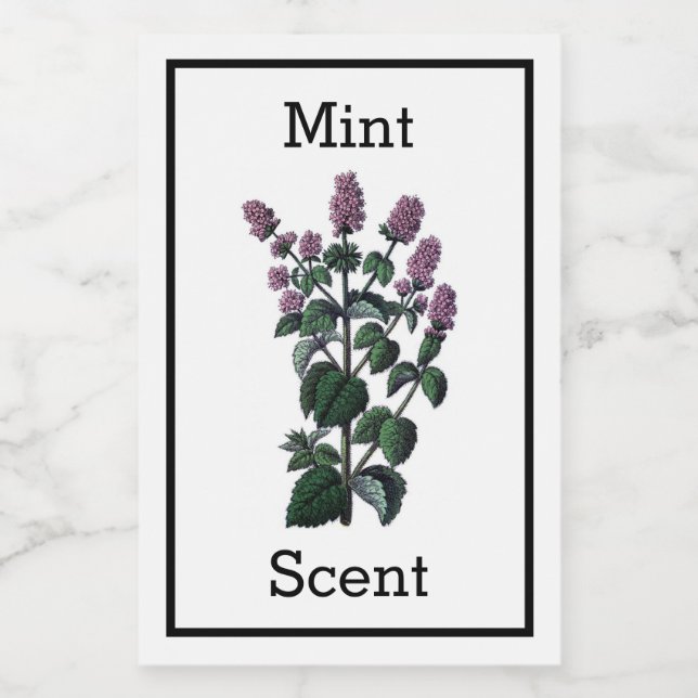 Etiqueta antigua de fábrica (Etiqueta única)