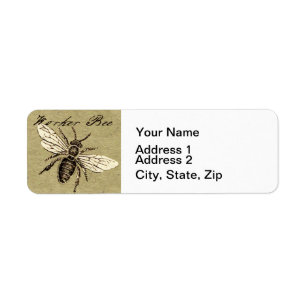 Etiqueta Antigüedad del Ilustracion de los insectos de los 