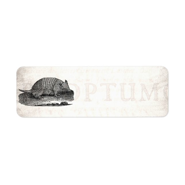 Etiqueta Antiguo Armadillo Retro Armadillo Antique Armadill (Frente)