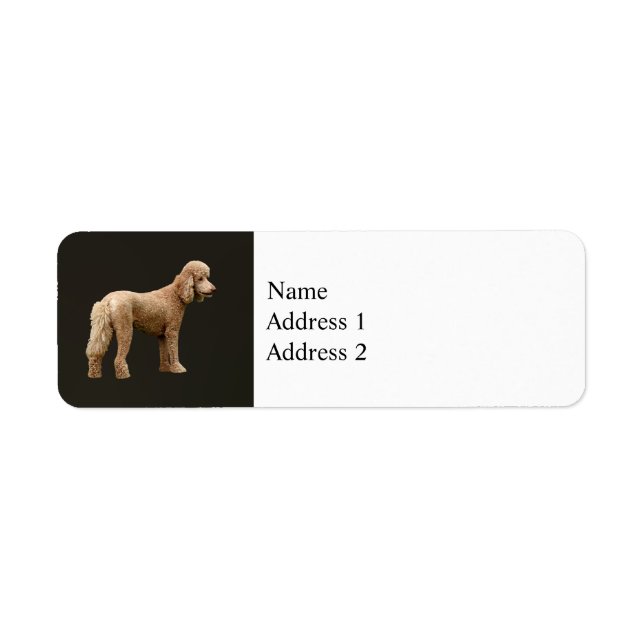 Etiqueta Apricot Poodle (Frente)