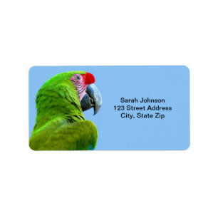 Etiqueta Ara Militaris Green Parrot