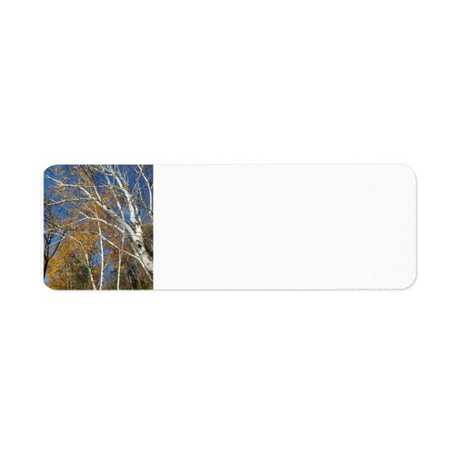 Etiqueta Árbol de aves (Frente)