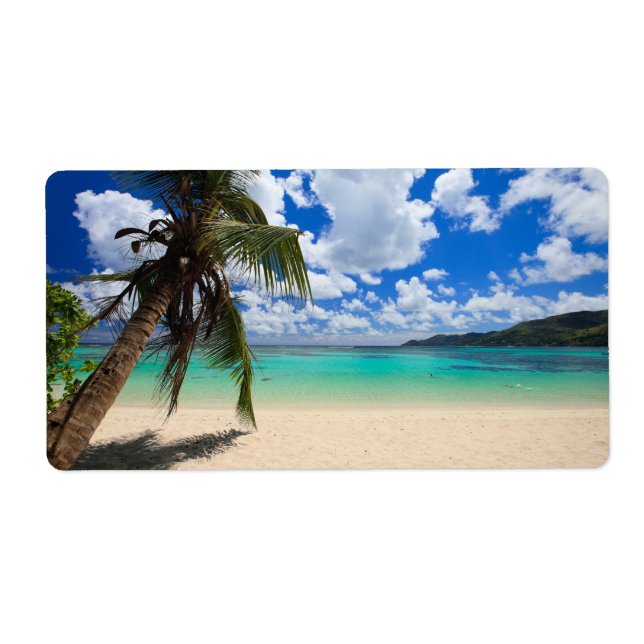 Etiqueta Árbol de palma (Frente)