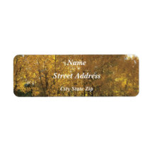 Árboles de Aspen resplandecientes