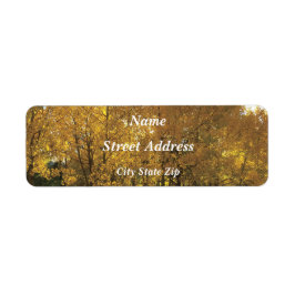 Etiqueta Árboles de Aspen resplandecientes