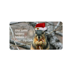 Etiqueta Ardilla del navidad