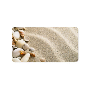 Etiqueta Arena con las cáscaras y las piedras. Composición