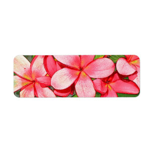 Etiqueta Arte de Frangipani Tropical Rosa