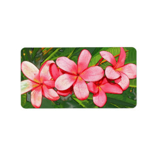 Etiqueta Arte de Frangipani Tropical Rosa