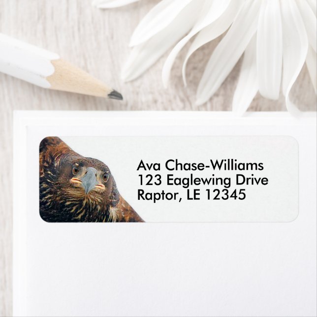 Etiqueta Asombroso pájaro águila calva de Prey hace un vuel (In situ)