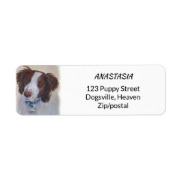 ETIQUETA AUBURN SETTER MIX