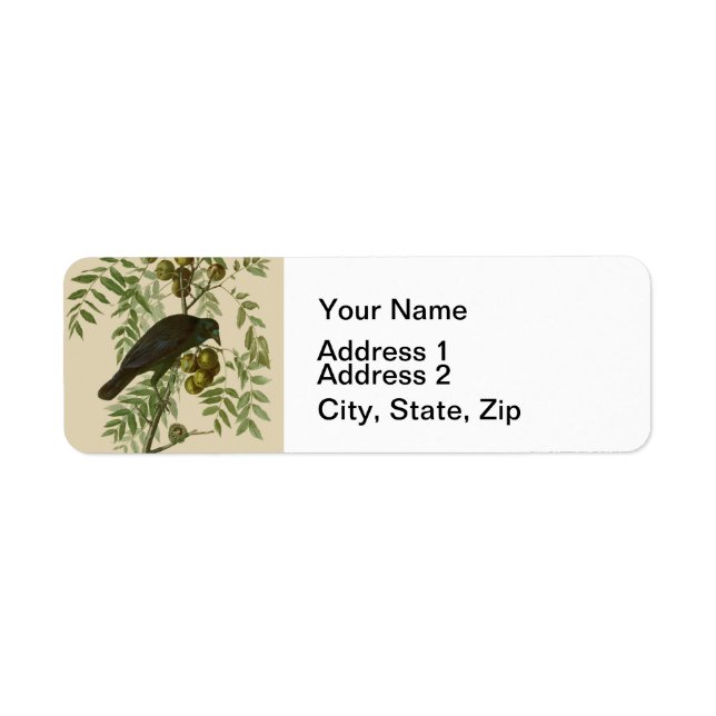 Etiqueta Audubon American Crow Black Bird (Frente)
