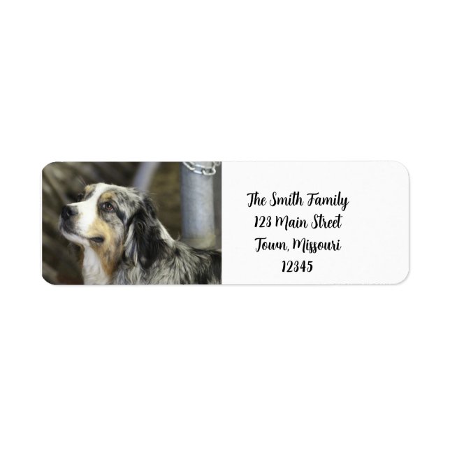 Etiqueta Aussie (Frente)