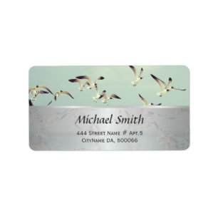 Etiqueta Aves de gaviota animal