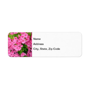Etiqueta Azalea Bush