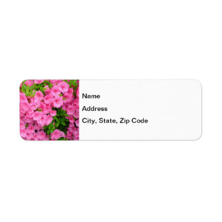 Etiqueta Azalea Bush