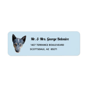 Etiqueta azul del remite del perro de Heeler/del